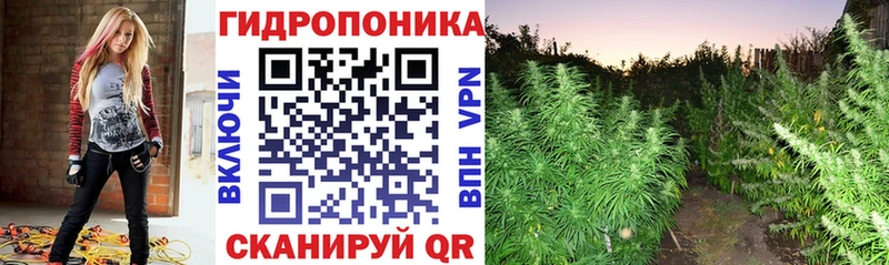 Как найти закладки Почеп СОЛЬ  Меф мяу мяу  Гашиш 