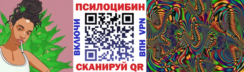 omg ТОР  где найти наркотики  Почеп  Псилоцибиновые грибы прущие грибы 