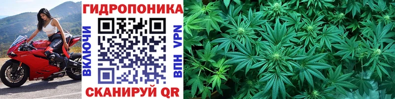 hydra зеркало Почеп Бошки марихуана сатива